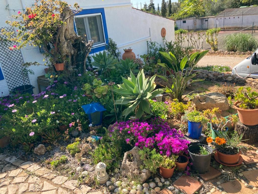 ギーア Casa Joyヴィラ エクステリア 写真